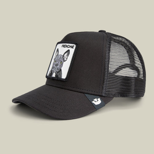 Goorin Bros. Hat - Frenchie Trucker - Void