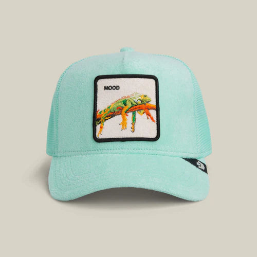 Goorin Bros. Hat Terry Cloth - Iguana - Gummy