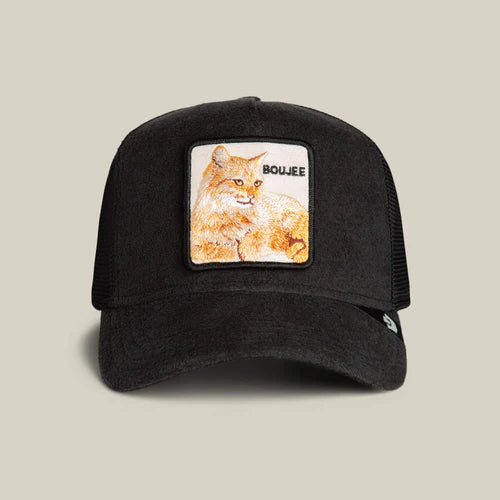 Goorin Bros. Hat Terry Cloth - Cat - Void