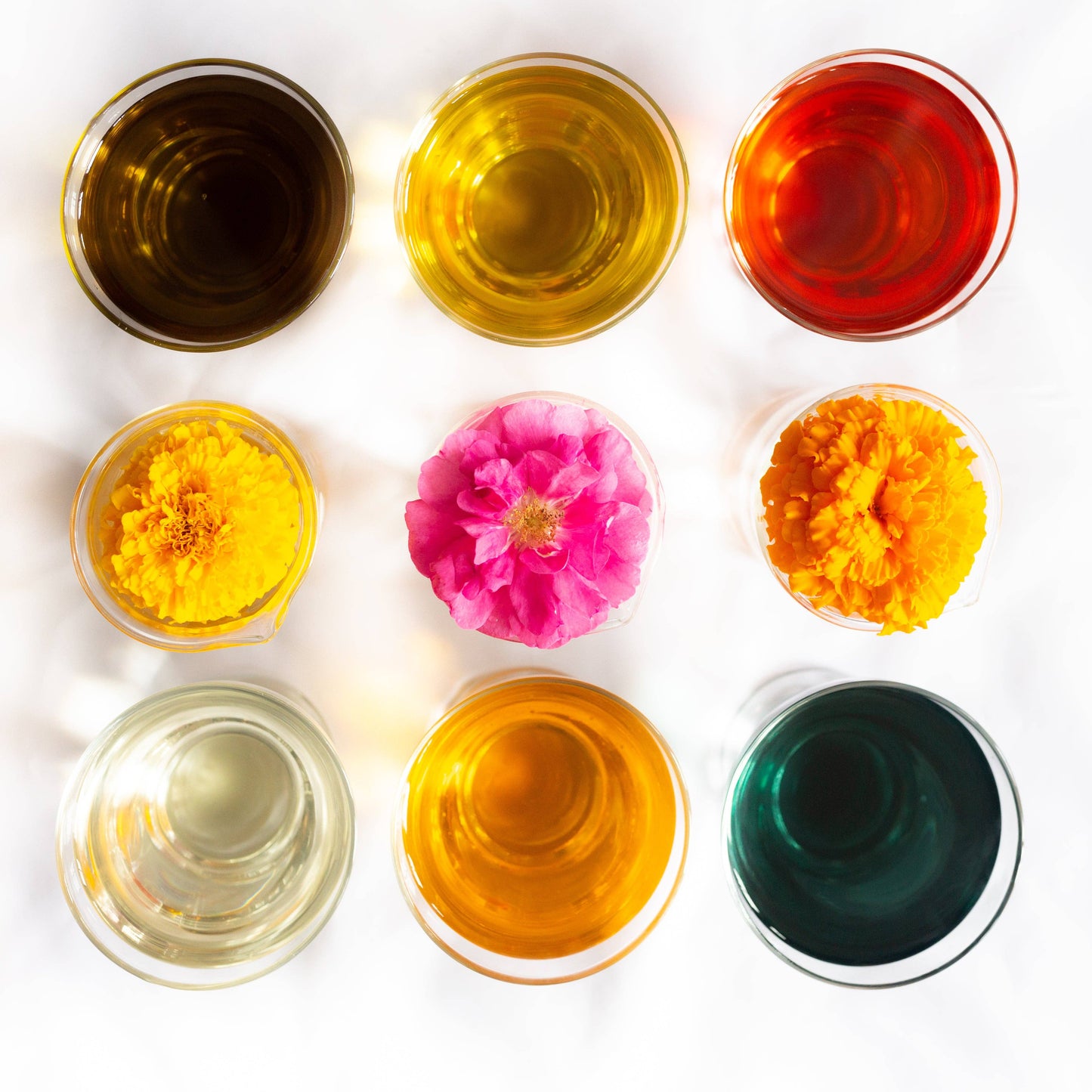 East Coast Glow - Partridgeberry + Mint | Wild Herb Infused Lip Balm