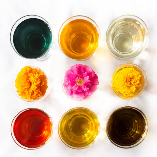 East Coast Glow - Paradigm Shift - Bioactive Botanical Concentrate